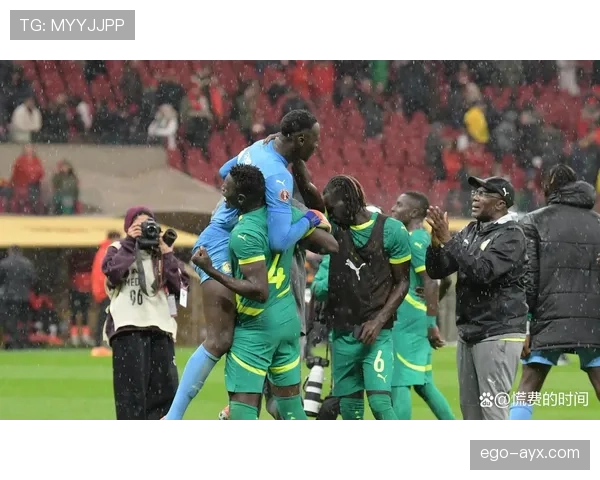 非洲杯争议判罚引热议，球迷聚焦赛事公正性