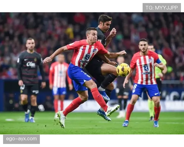 贝蒂斯创新逼抢战术提升竞争力，重塑比赛格局引发关注